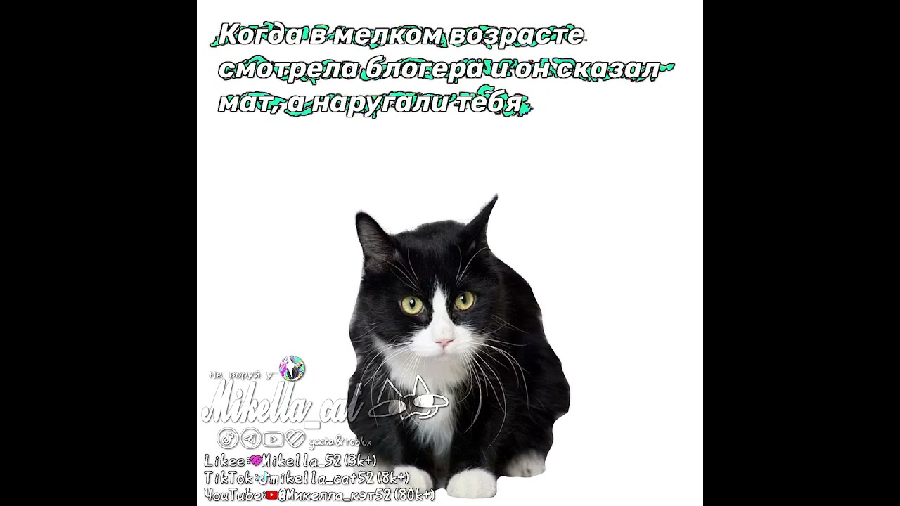 Когда в мелком возрасте смотрела блогера и он сказал мат, а наругали тебя 