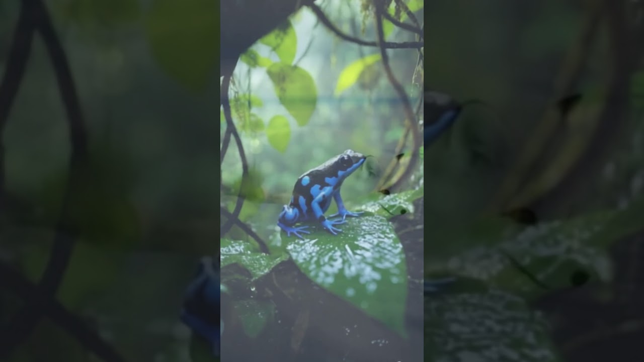 Wild Resilience: Animal Survival Stories