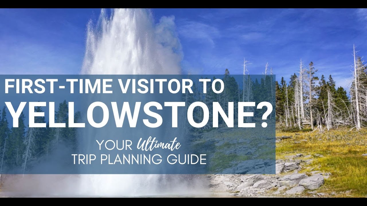Where to Stay in Yellowstone: The Only Guide You Need