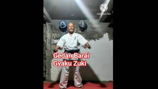 Down Ward block / reverse punch 10x Repetition forward and backward #karate1 #kyukoshin #shotokan