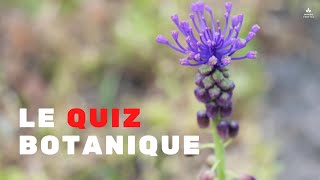 QUIZ BOTANIQUE N°1 : Arriverez-vous à reconnaître les plantes sauvages à l'écran ? screenshot 1