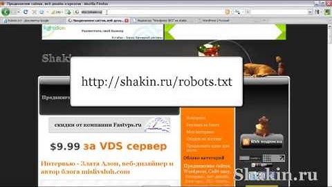 Wordpress SEO. Урок 1 - файл robots.txt
