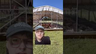 This is how they live??
This is how they live every day for mere weeks. For not even half a year, they will be on earth - and were brought into it briefly to be robbed from it for human use. It’s not right. Happily to vocally debate anyone who believes otherwise.
#chicken #vegan #fy
OP: fatmountainfarms This is how they live??