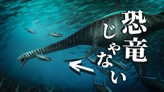 恐竜時代の海の覇者 首長竜について