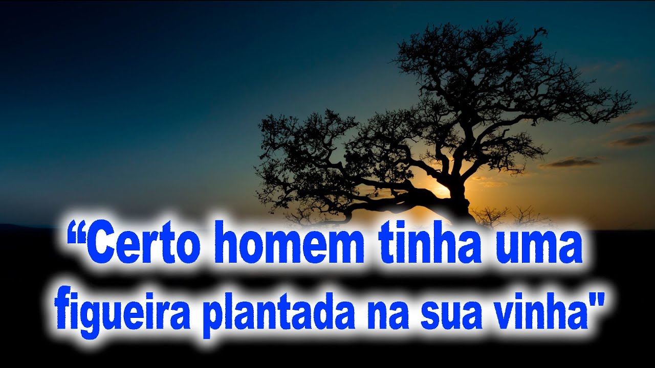 #EVANGELHODODIA | 