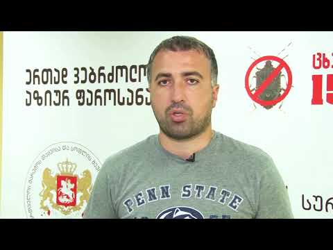 საკარმიდამო ნაკვეთებში ფერომონების დამონტაჟება იწყება