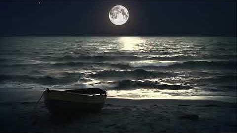 من سورة الملك - القارئ أحمد طالب بن حميد