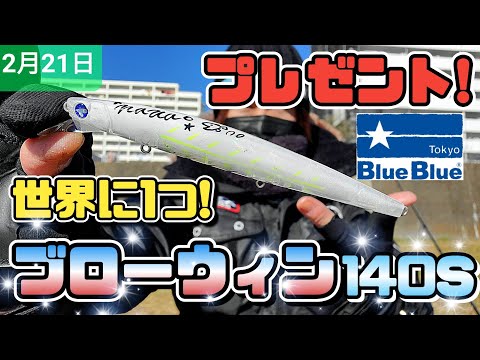 シーバスルアーセット　17個　ブローウィン140s等 シーバスルアーセット 17個 ブローウィン140s等 【公式通販】