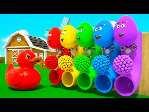 5 Colorful Ducks Play with Magic Eggs! Learn Colors 🌈🥚 | DuZoo Kids Songs