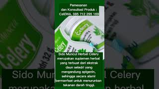 Solusi tepat untuk Penderita Darah Tinggi - Celery Sidomuncul screenshot 5