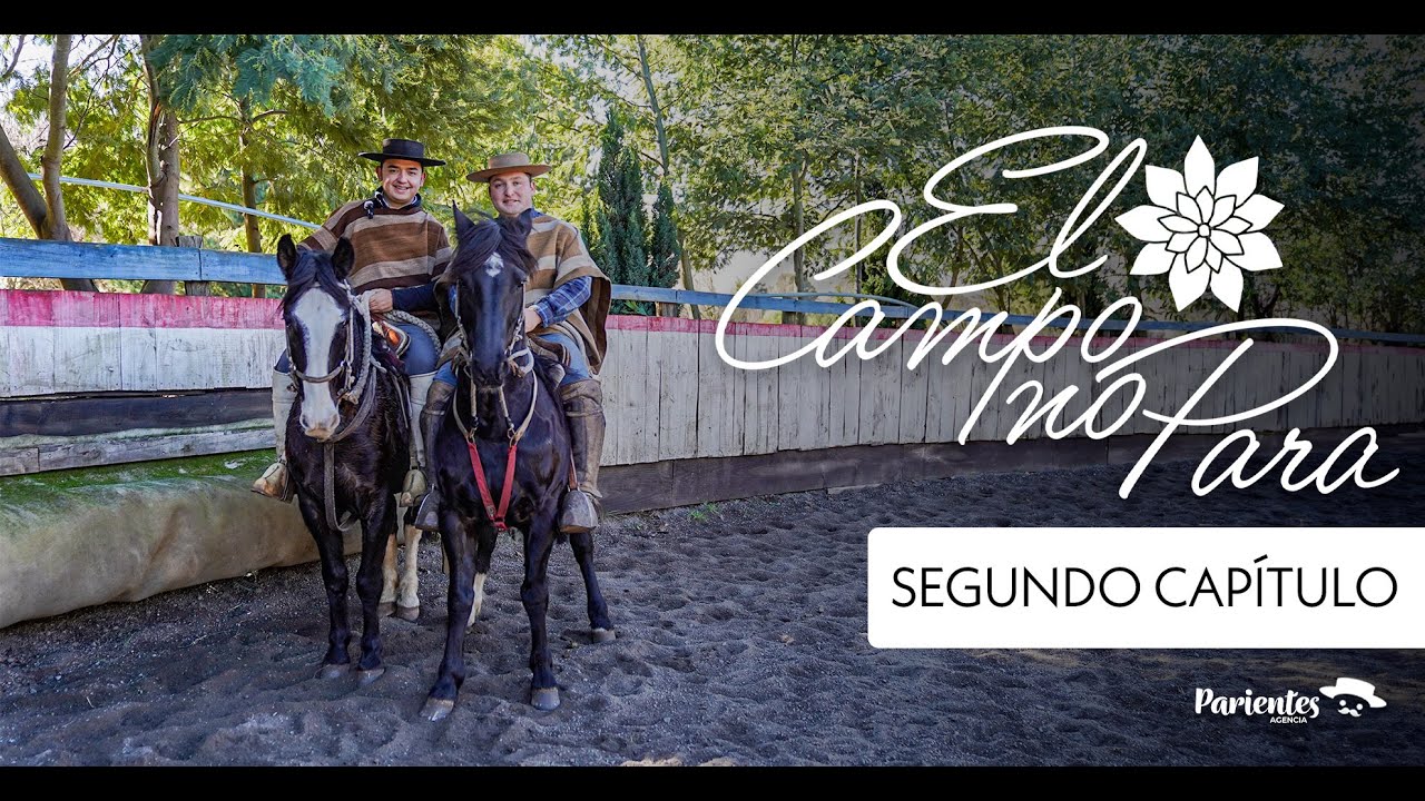 El Campo no Para | SEGUNDO CAPÍTULO - Una tradición de caballos y bueyes