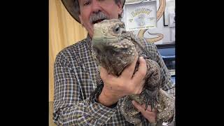 Jungle Bob's Reptile World - Store of the Month April 2021