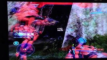 Random grenade throw double kill end game 1010