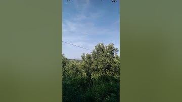 تلاوة آيات من الذكر الحكيم في قلب الطبيعة