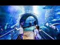 Melbourne Aquarium review