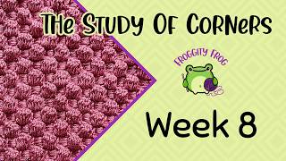 This Yarn-Hungry Stitch Is Worth It! | Study of Corners CAL Week 8 | Raised Pineapple