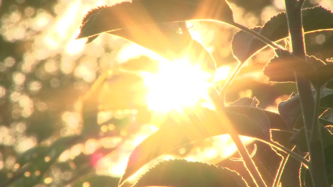 Rustomjee Crown, Virtual Tour, Walkthrough, Prabhadevi, Mumbai South