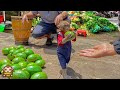 Super smart monkey baby yiyi helps grandpa harvest avocados to sell at the market