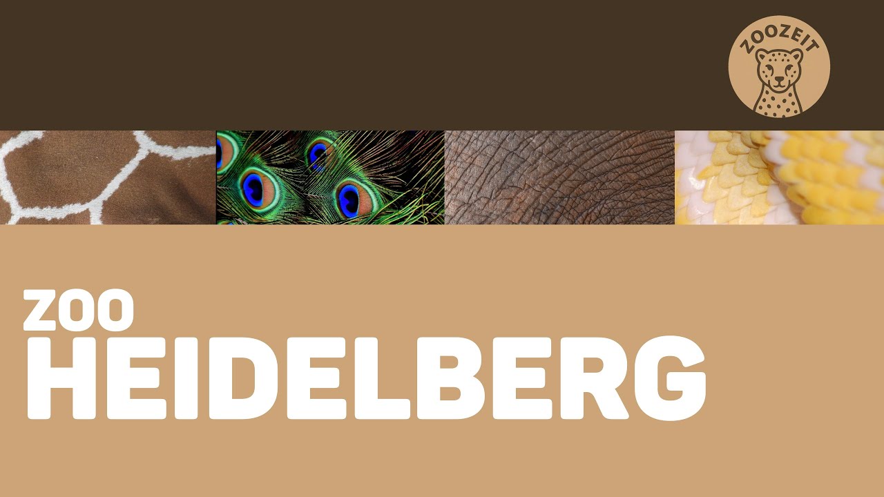 Zoo Heidelberg • Artenvielfalt direkt am Neckar
