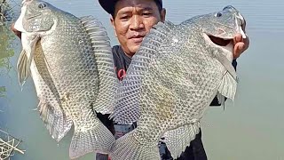 SPOT BARU..!!! Mancing Ikan NILA BABON Joran Sampai Bergetar Senar Sampai Putus