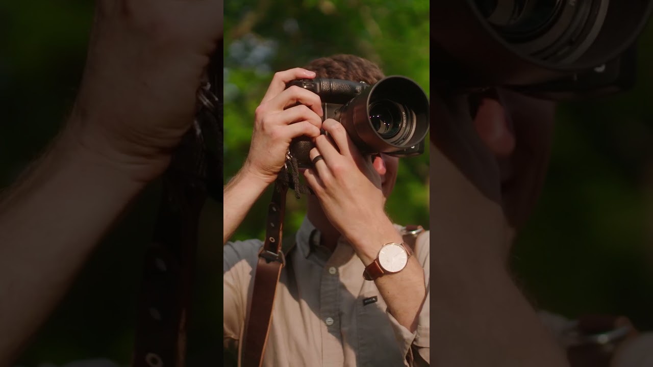 The MagMod XL Hype is Real - Photographers are Loving Them!