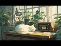Soft Lofi Music for Relaxation and Gentle Chill Vibes