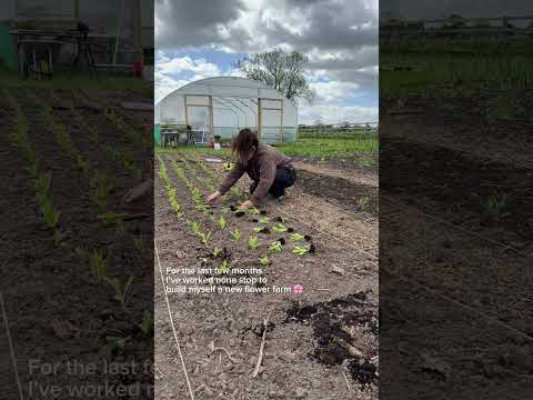 Uploads from Bloom & Gray - Flower Farm