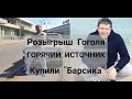 Купили &quot;Барсика&quot;, розыгрыш Гоголя, горячий источник!