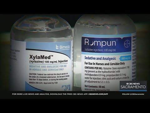CBS13 Investigates: What’s being done in California to control the flesh-eating drug “xylazine”?