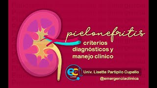 PIELONEFRITIS Criterios Diagnósticos y Manejo Clínico