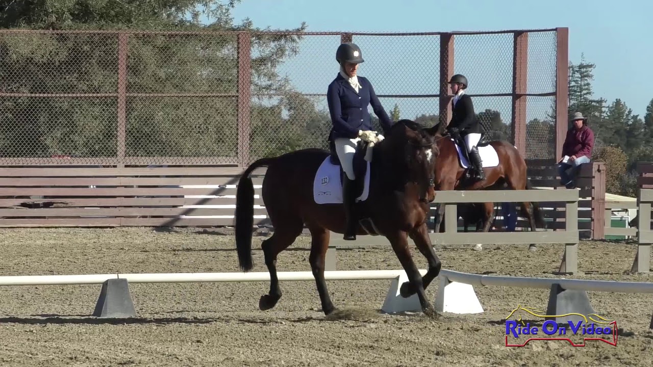 horseshoe bend 132D Rebecca Braitling on Galwaybay Merbantos Open Training Dressage Woodside Oct. 2019