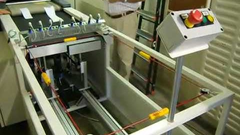 Martin Stacker on Reliant