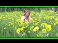 Tafesech Ejerso Ateetiyyoo Oromo Music 