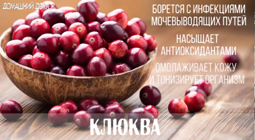 ТОП-15 самых полезных продуктов для организма