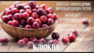 ТОП-15 самых полезных продуктов для организма ТОП-15 самых полезных продуктов для организма