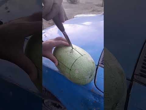 هندوانه مینابی