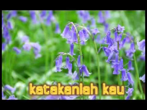 Evident_Teman Sejati.wmv