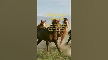 تلاوة رائعة للآيتين 31 و32 سورة ص