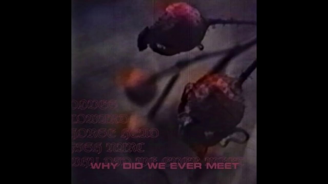 Døves, Wicca Phase Springs Eternal, Horse Head, Jon Simmons - Why Did We Ever Meet (prod. Fish Narc)