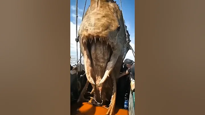 Giant Sea Creatures EXPOSED by Fishermen!