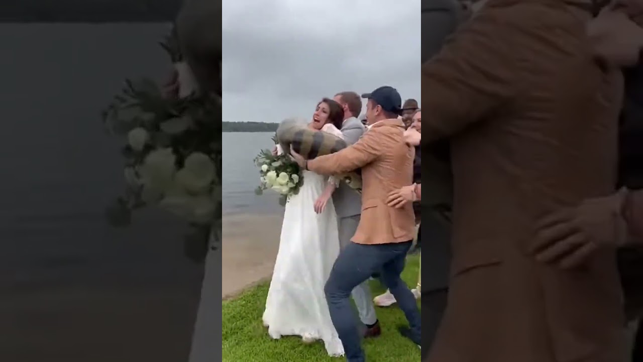Wedding Shoreline Ambush: Groom Lifts Her as Coils Tighten