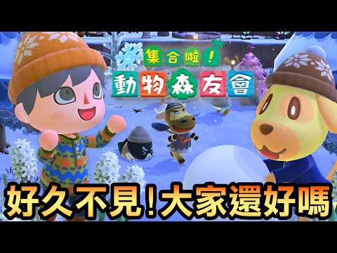 【動物森友會直播】消失一年回來看島民！自然風完工島 vs 都市風建設島，更新前的大巡禮