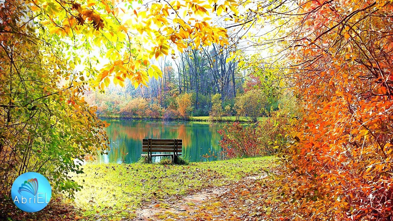 Muzică de Relaxare și Gândire Pozitivă ce Atrage Pacea, Fericirea, Armonia și Echilibrul