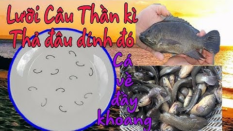 Cách Chọn Lưỡi Câu Cá Rô Đồng Sắc Bén Nhất | How to Choose The Most Consistent Single Fishing Hook