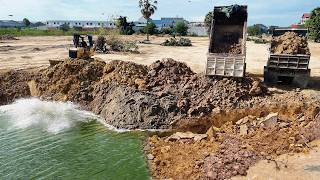 Part 5  - Great Action Big & Deep Pond Filling- Dozer Pushing Soil Fill To Water Vs 5ton Dump Truck