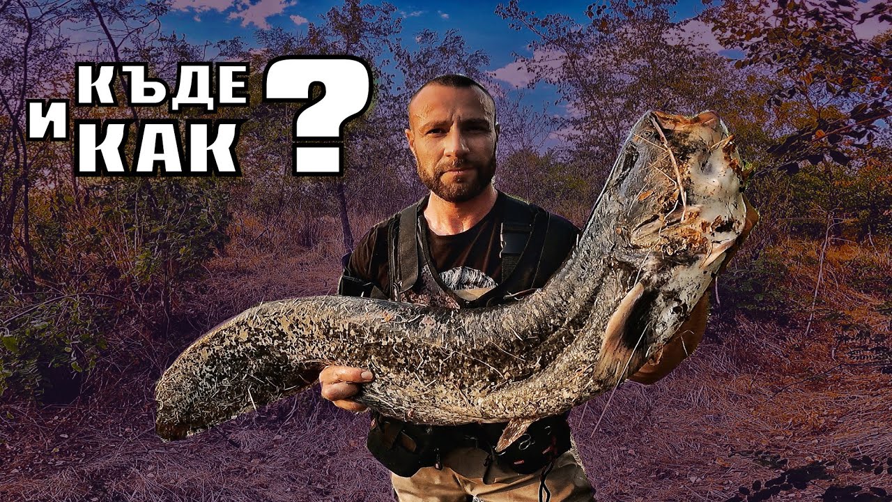 ВСИЧКО за риболова на СОМ по река.КЪДЕ и КАК ?