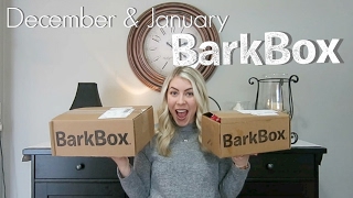December & January BarkBox Unboxing With Cooper! Comparing Months!