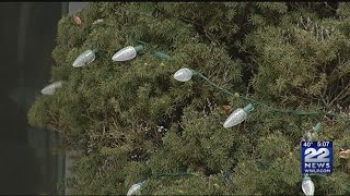 Don't throw away your broken Christmas lights; recycle them