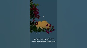 حالات واتس اب قران ♥️🖇️|| حالات واتس قرأن || تلاوة خاشعة || Quran Status🖇️💙 اية قرانية قصيره🎧❤️