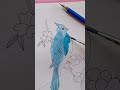 Bird color asmr| 🐦 #bird #asmr # coloring #satisfying @studyvlogs5172official